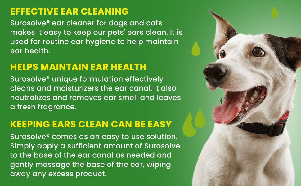 Step 2 - Massage the base of the ear
